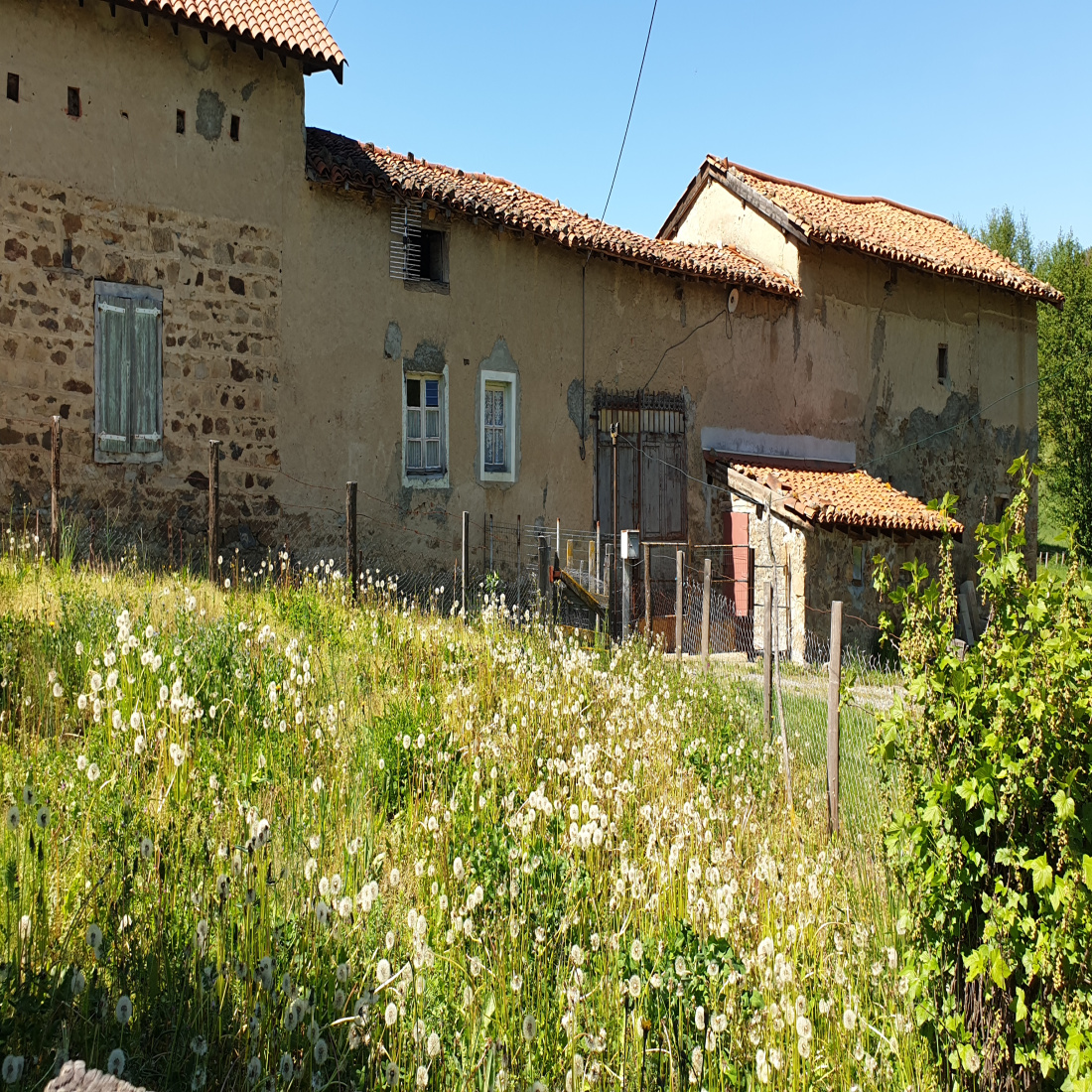 vente fermette à restaurer