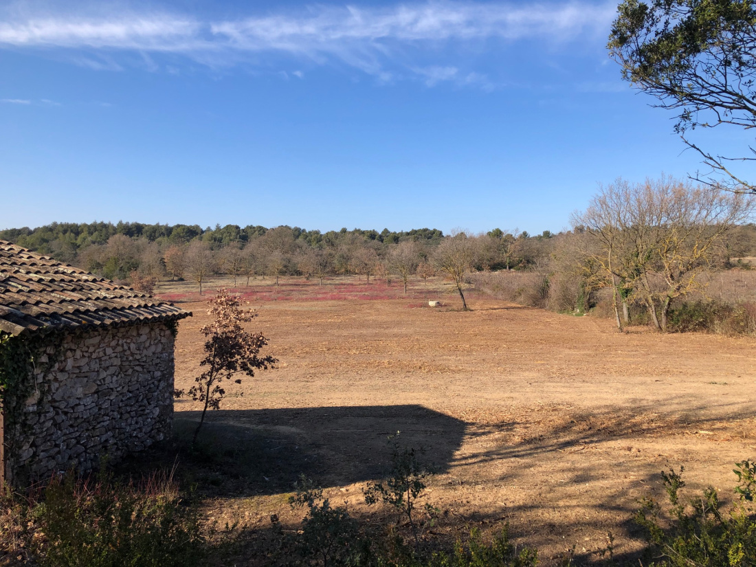 Terrain Non Constructible Avec Cabanon Cadastré Vaucluse Vente TERRAIN AGRICOLE 3 HECTARES