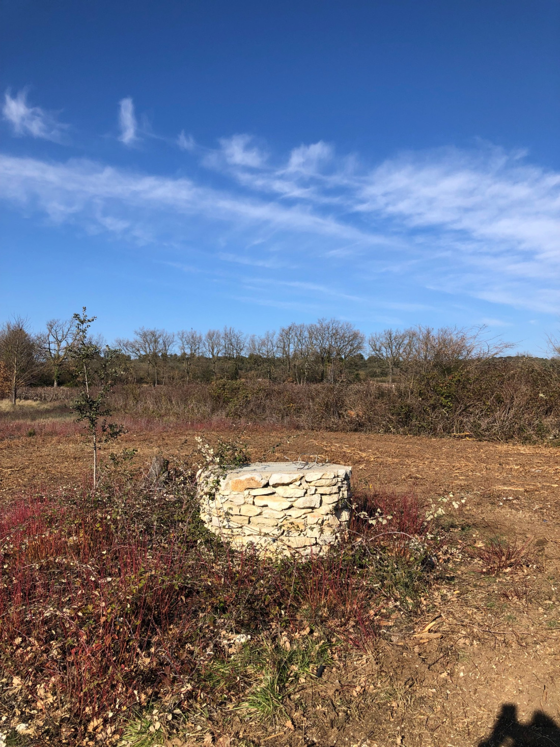 Terrain Non Constructible Avec Cabanon Cadastré Vaucluse Vente TERRAIN AGRICOLE 3 HECTARES