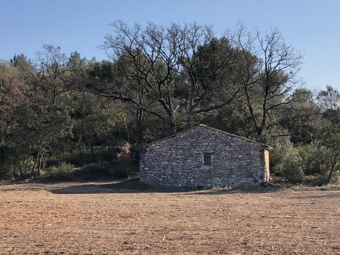 Terrain Non Constructible Avec Cabanon Cadastré Vaucluse Vente TERRAIN AGRICOLE 3 HECTARES