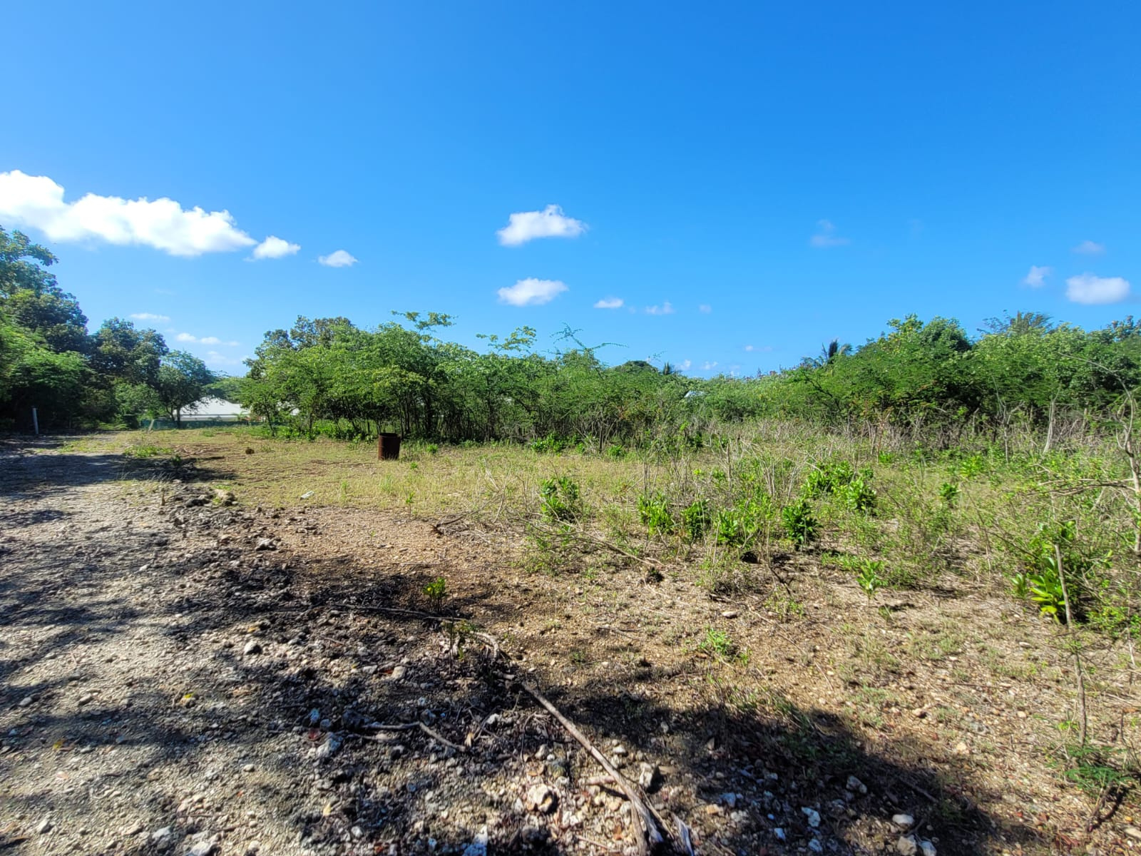Terrain 851 m² · à Saint-François · 851 m² · 185 000 €