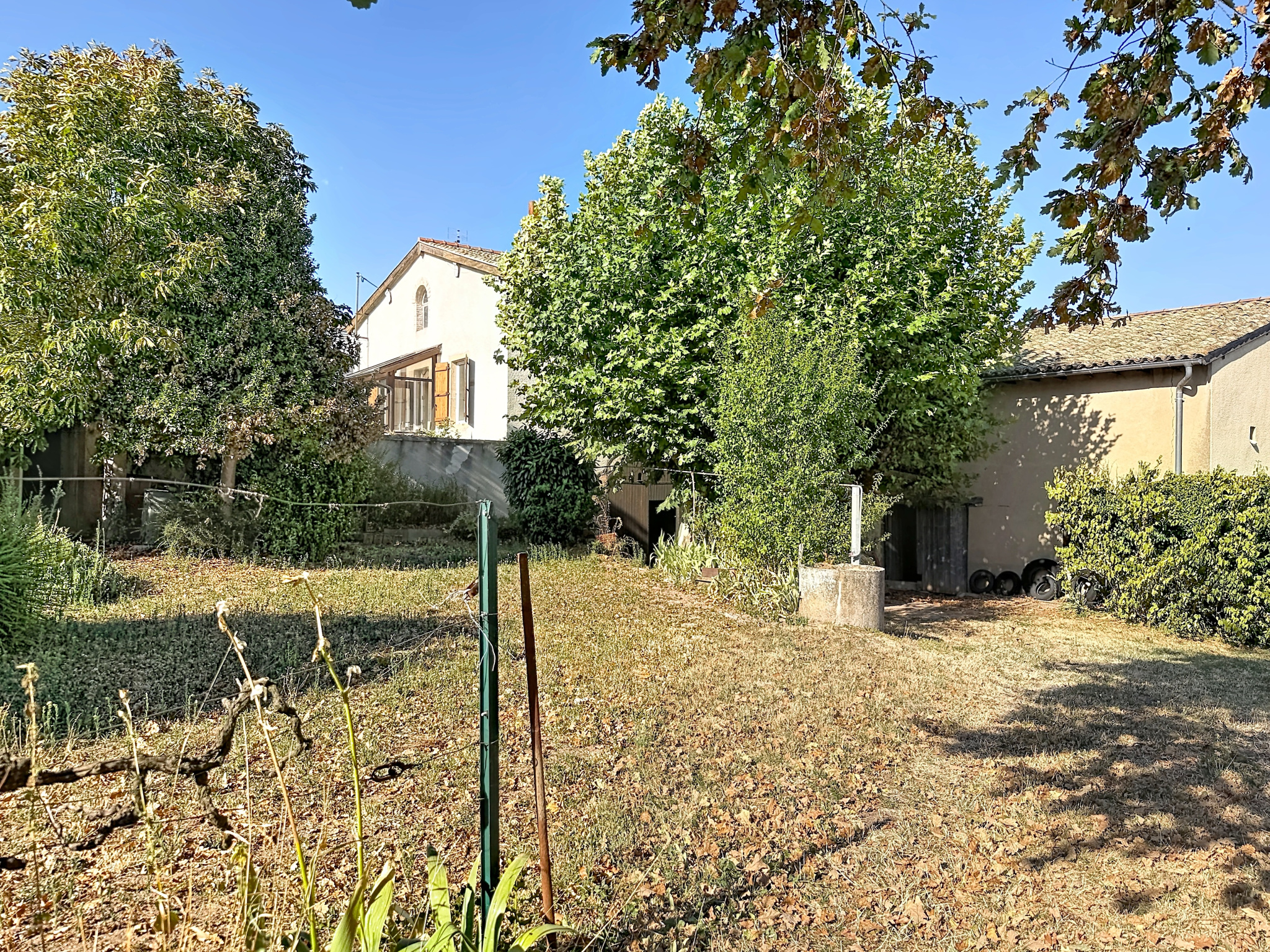 CHÉNAS Ancien corps de ferme au coeur des vignes :Vue, calm