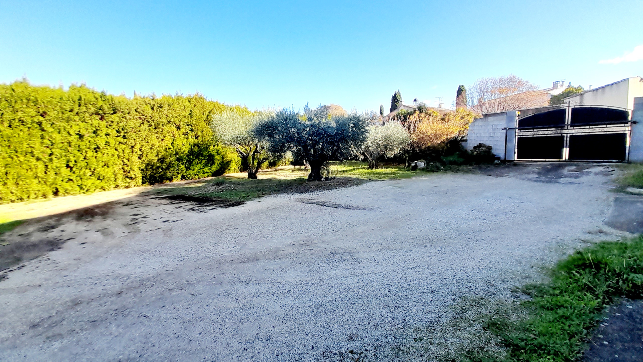 Photo 5