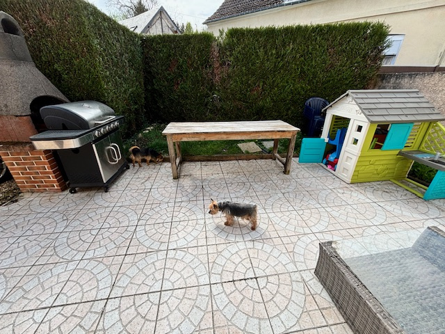 Photo 3