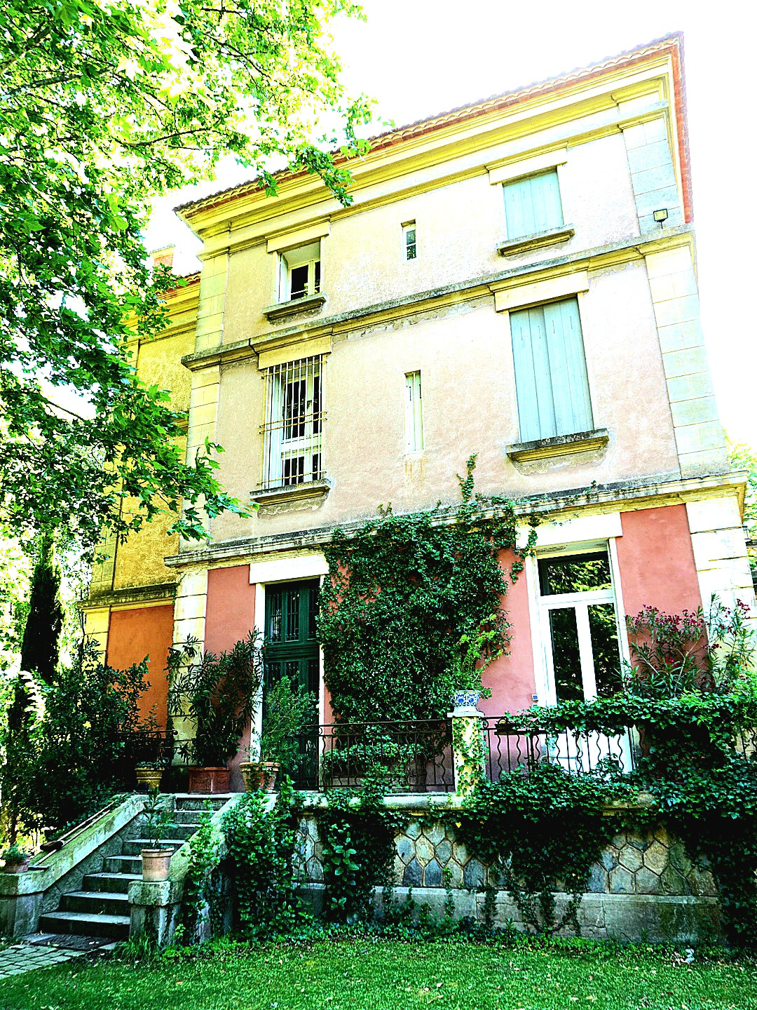Photo 4