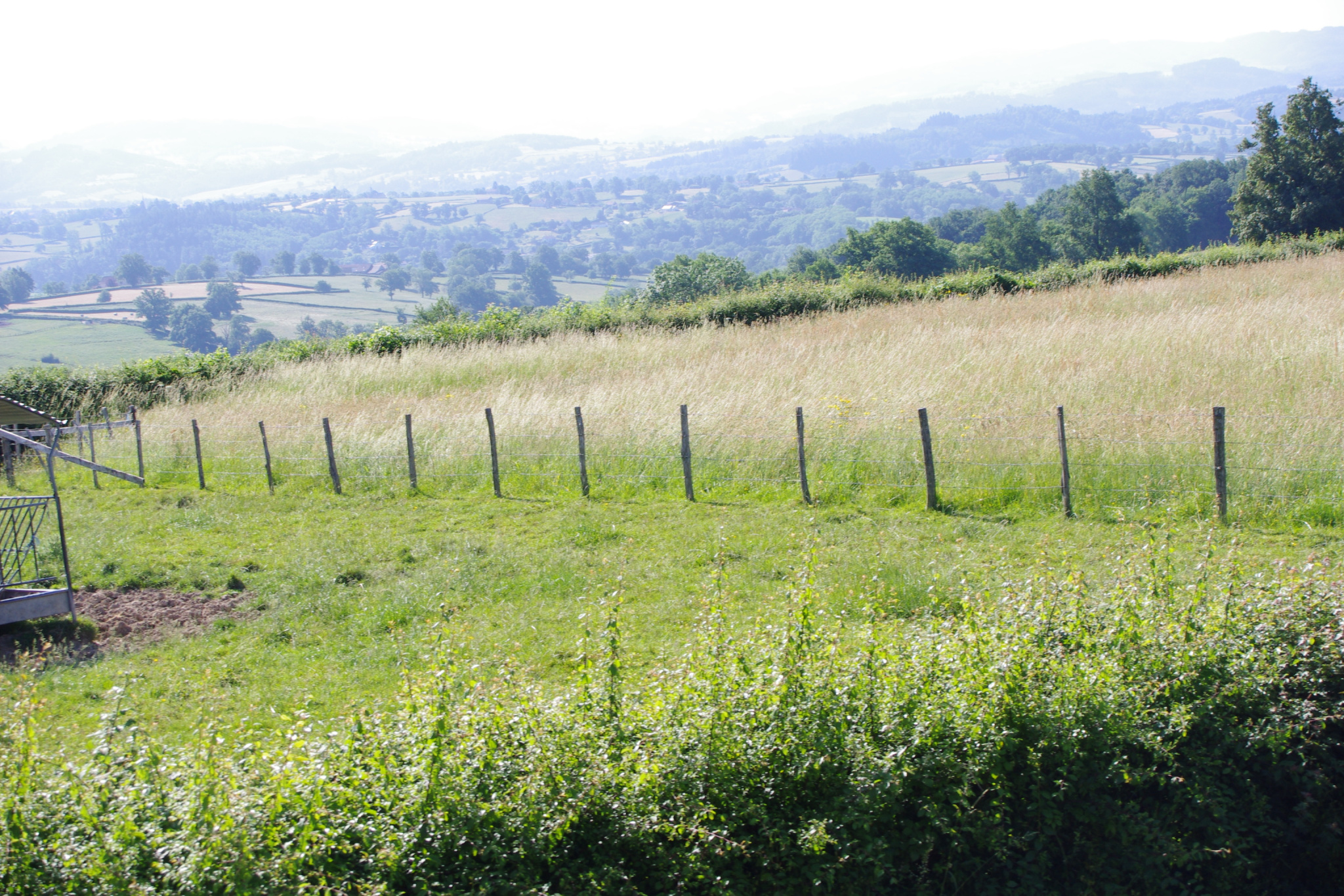Terrain 1805 m² · à Tancon · 41 420 €