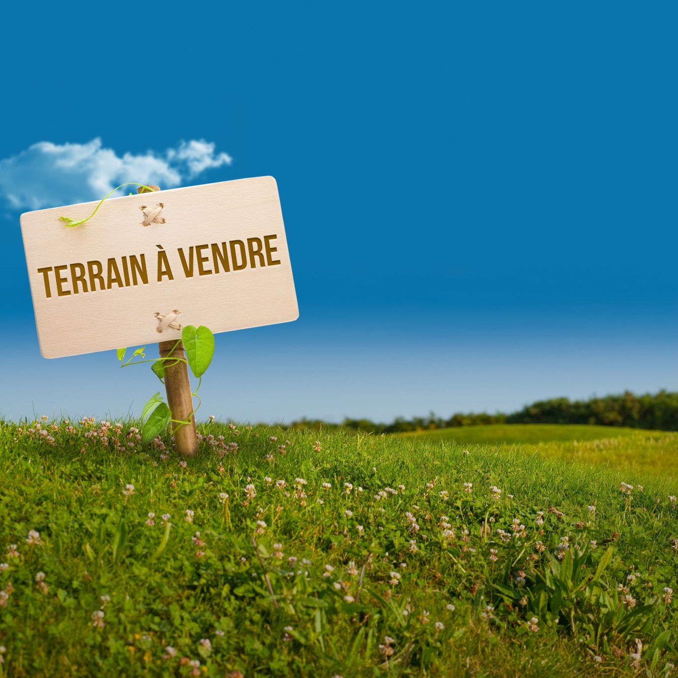 Terrain 469 m² · à Ussy-sur-Marne · 77 000 €