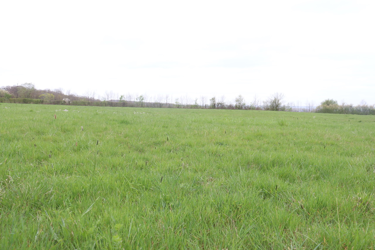 Photo bien immobilier