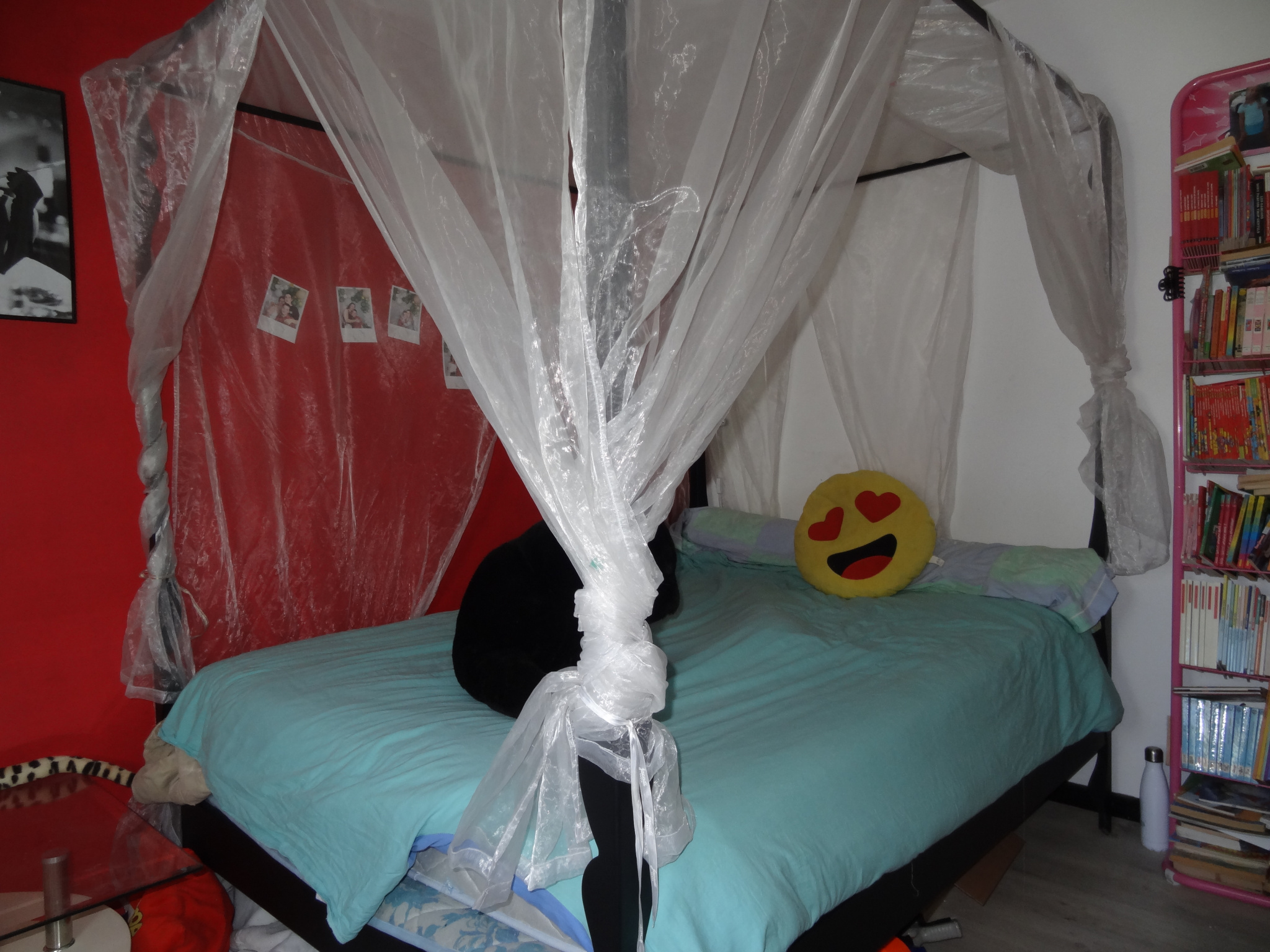 Photo 5