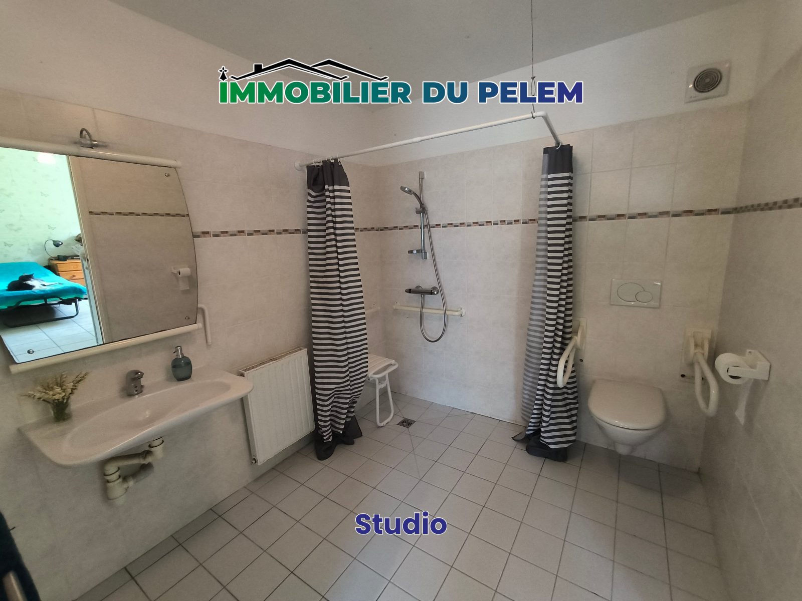 Photo 5