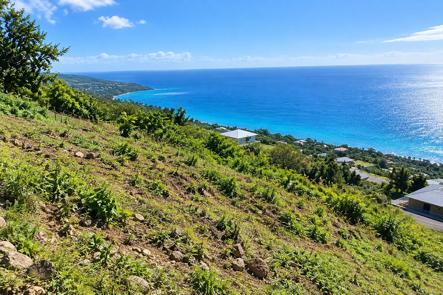 Terrain 1963 m² · à Borgo · 256 800 €