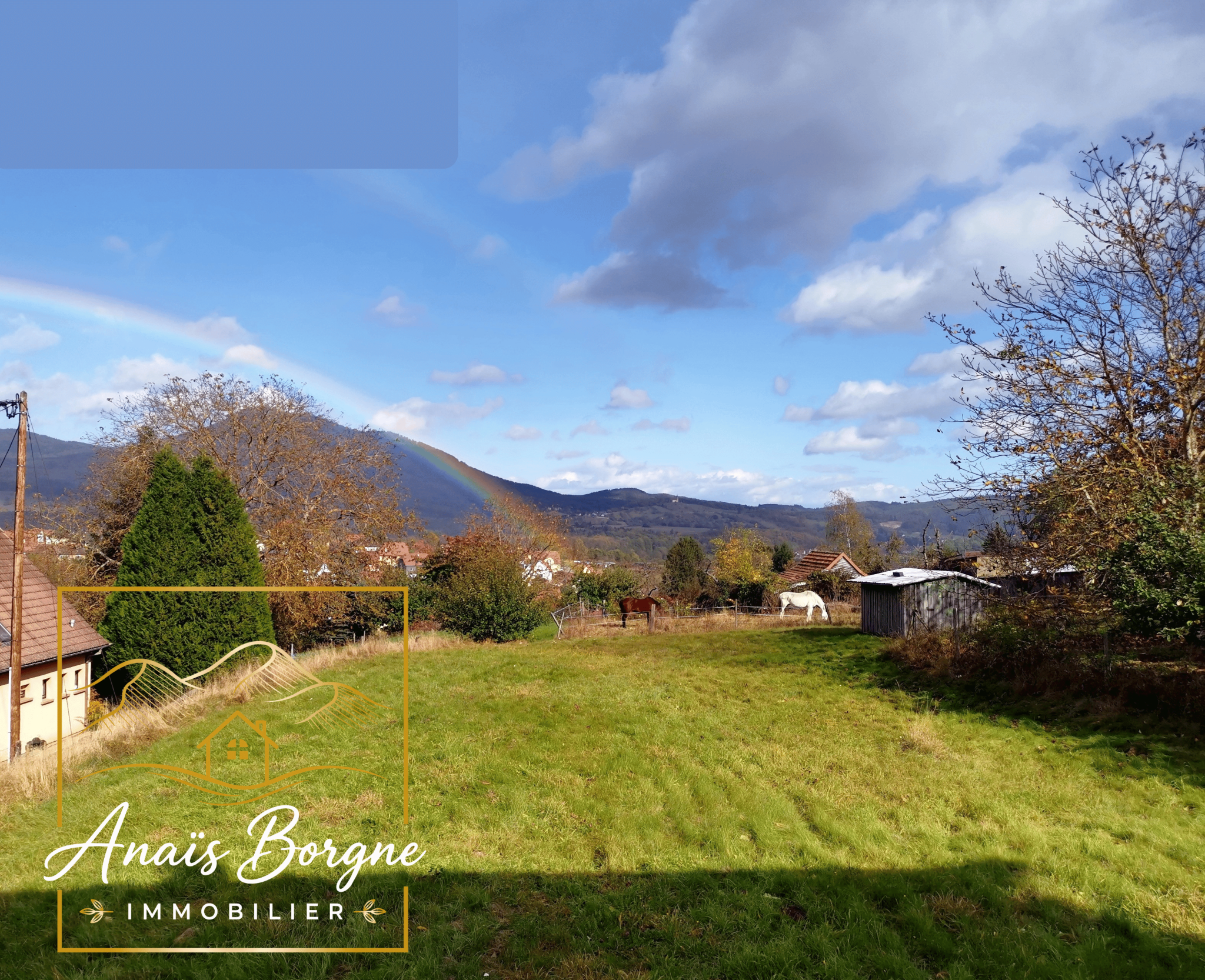 Dieffenbach-au-val (67220) · 99 000 €