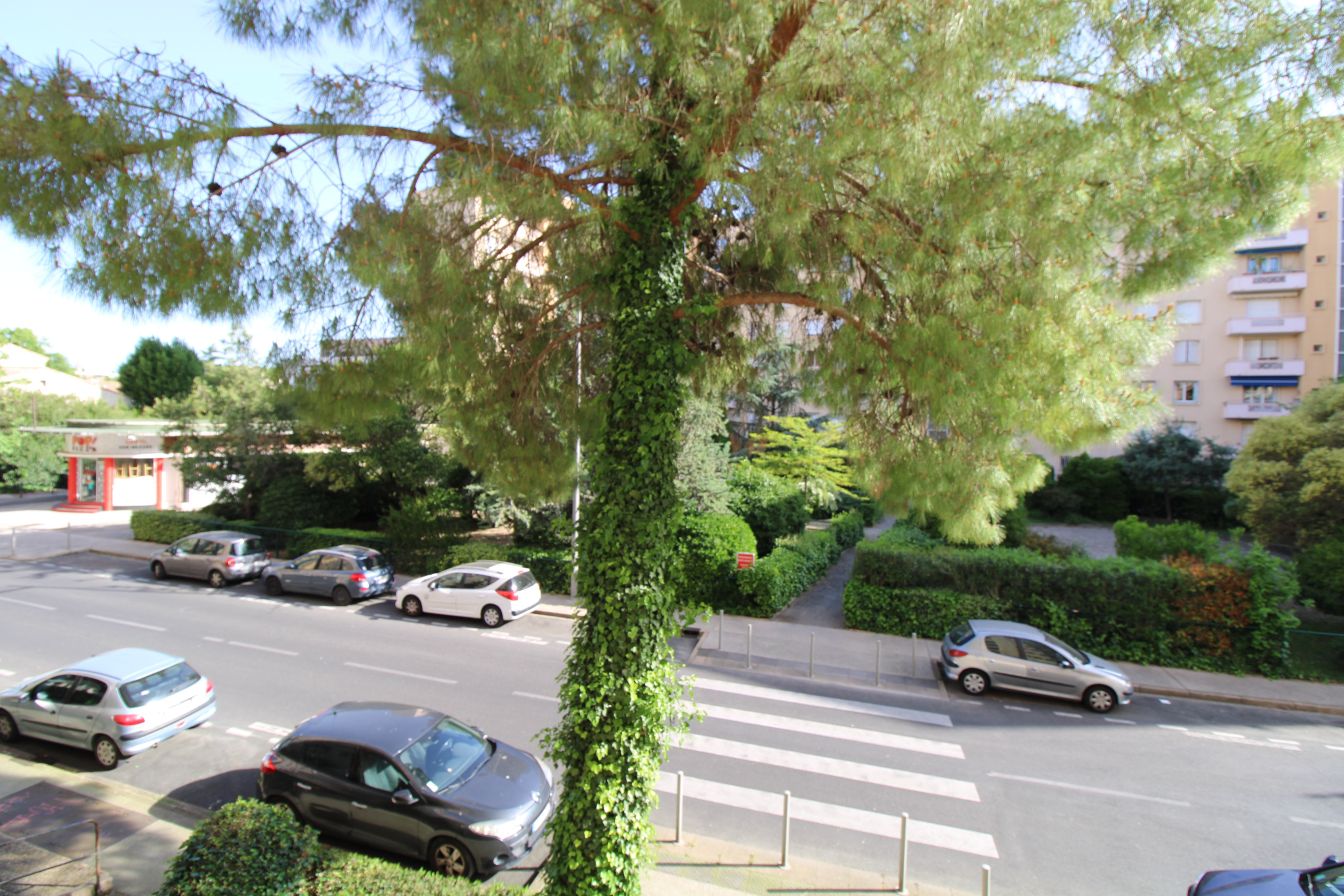 Photo 4