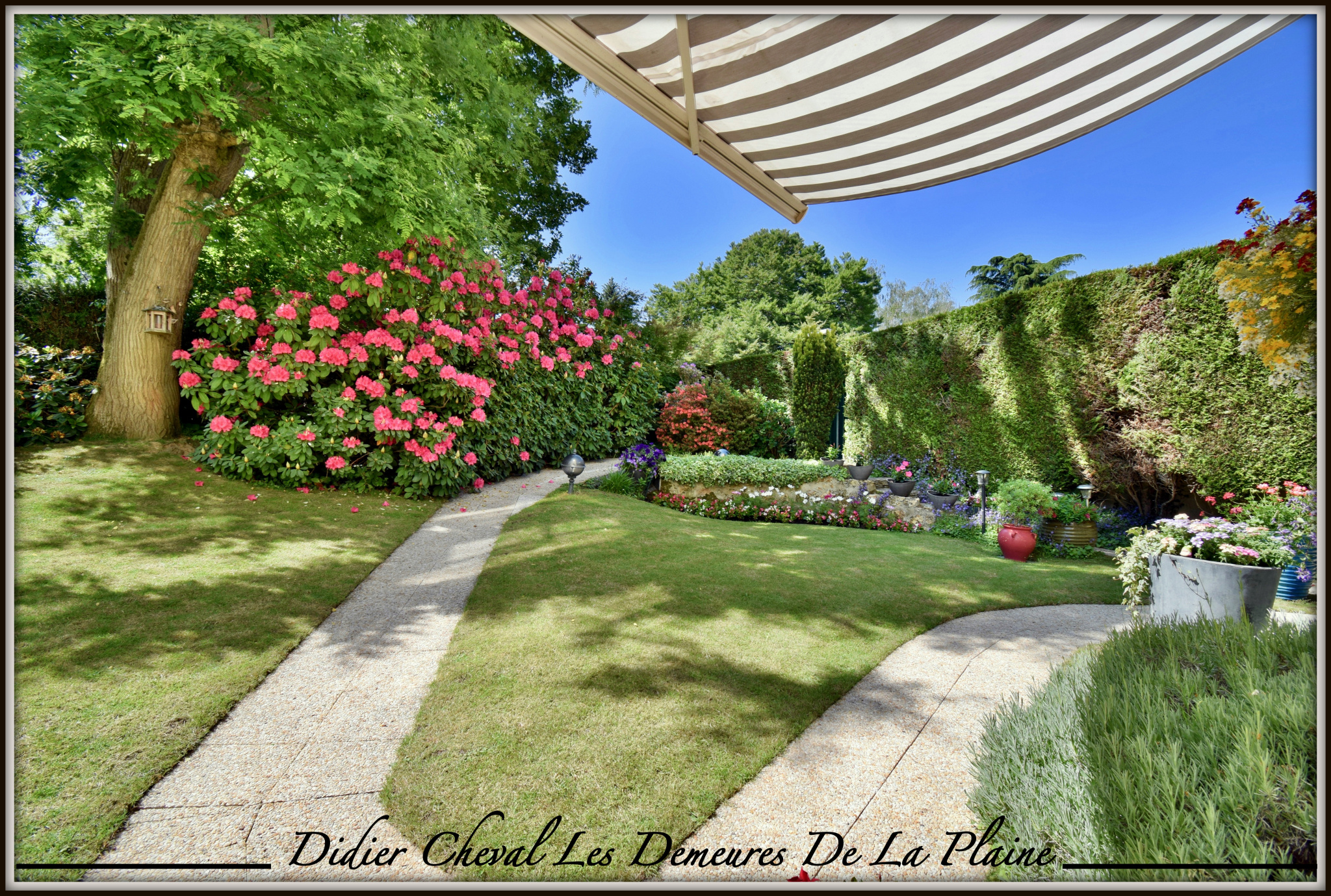 Vente Exclusif Sur Bailly