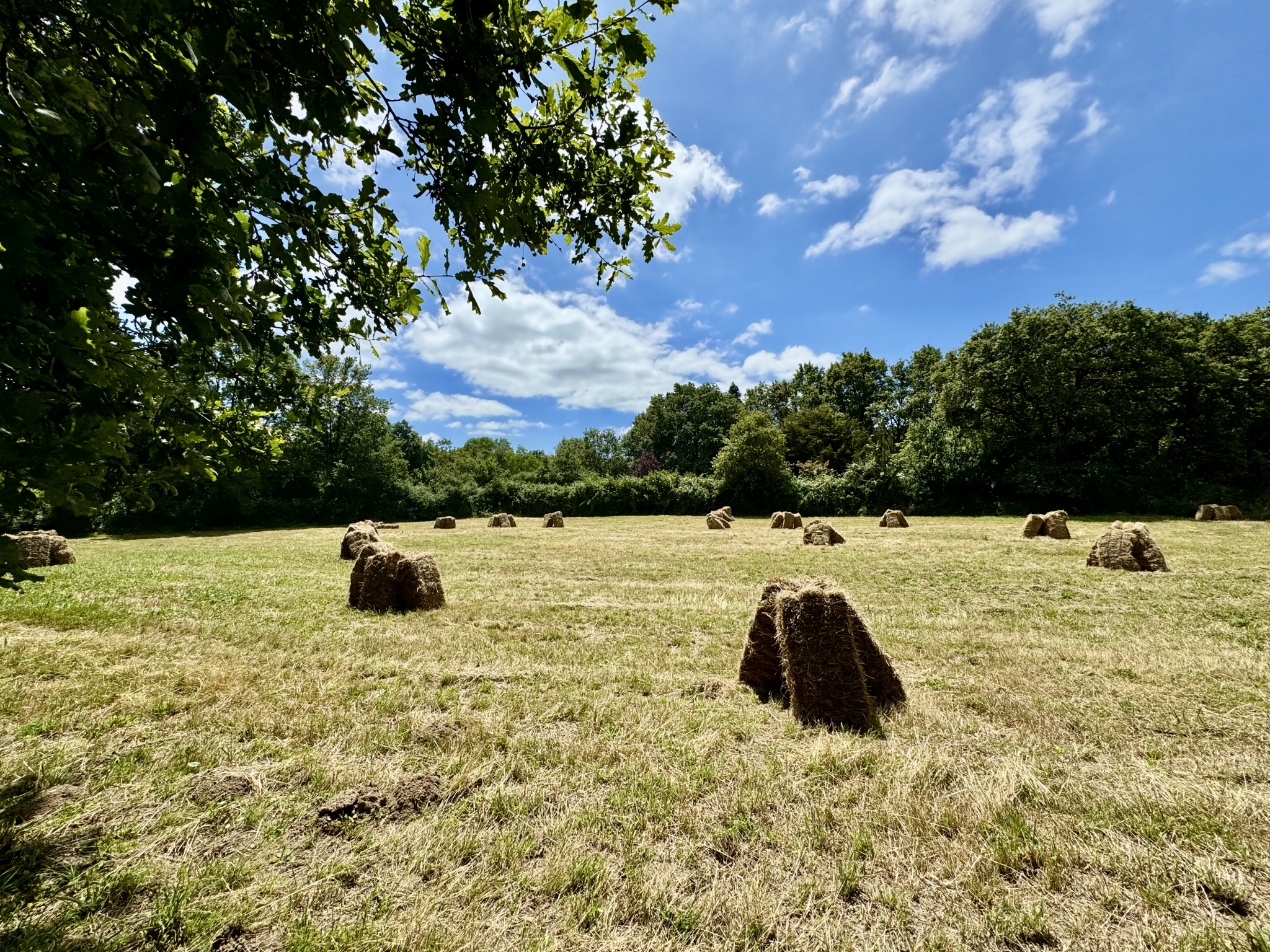 Vente Terrain à Saint-Georges-de-Pointindoux (85150) - Réseau Expertimo