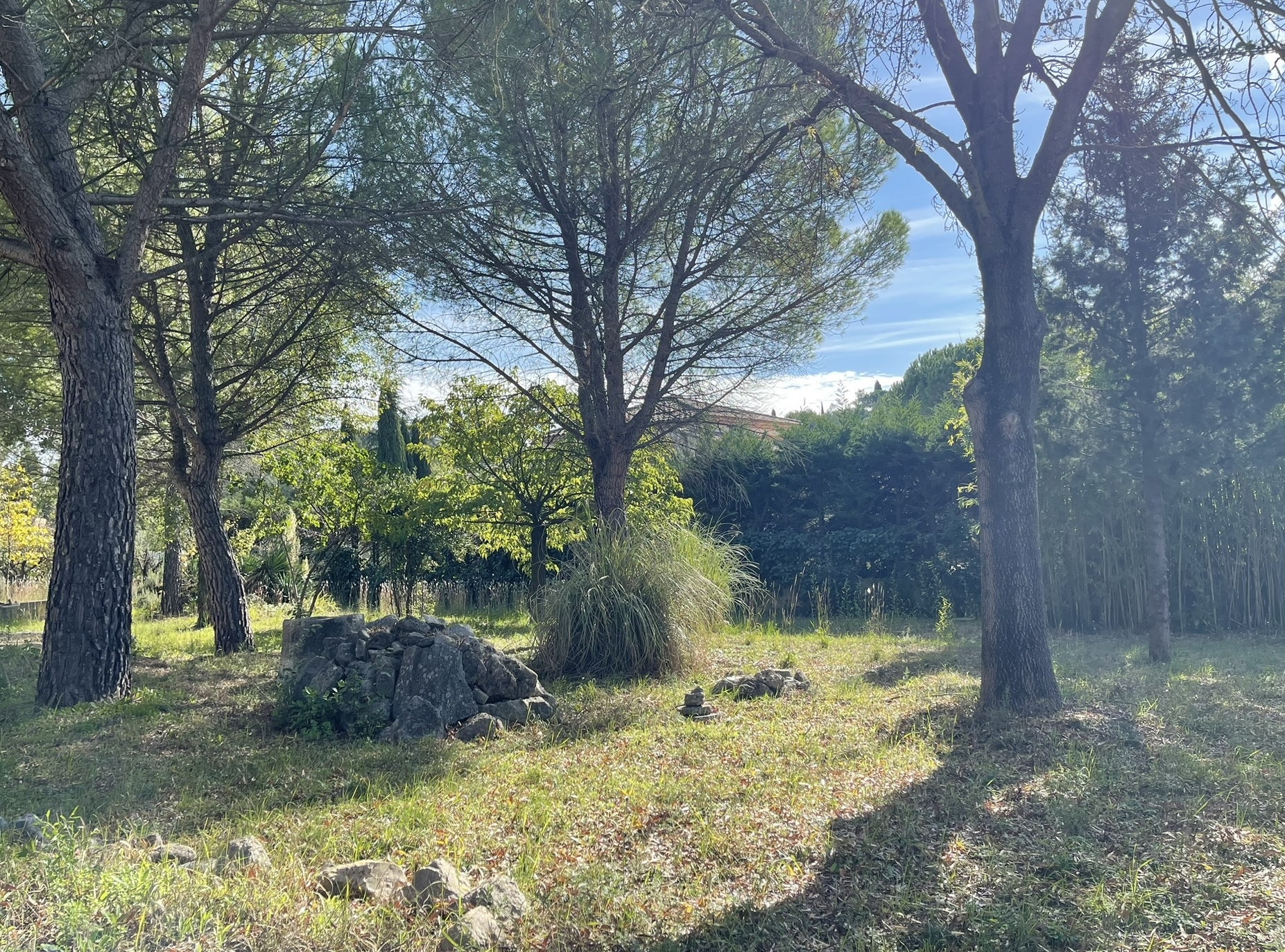 Castelnau le Lez, terrain 1000m2 viabilisé et arboré 525 000€
