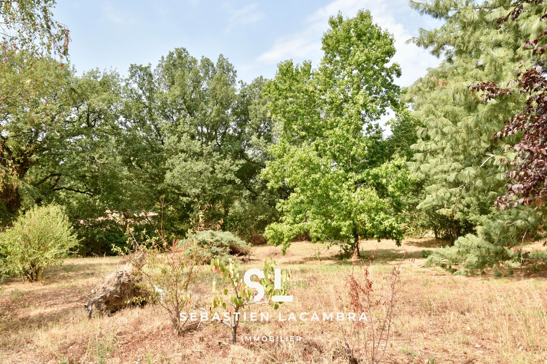CADALEN   TERRAIN À BÂTIR DE 1 191 M2   UN ÉCRIN DE VERDURE SANS VIS-À-VIS