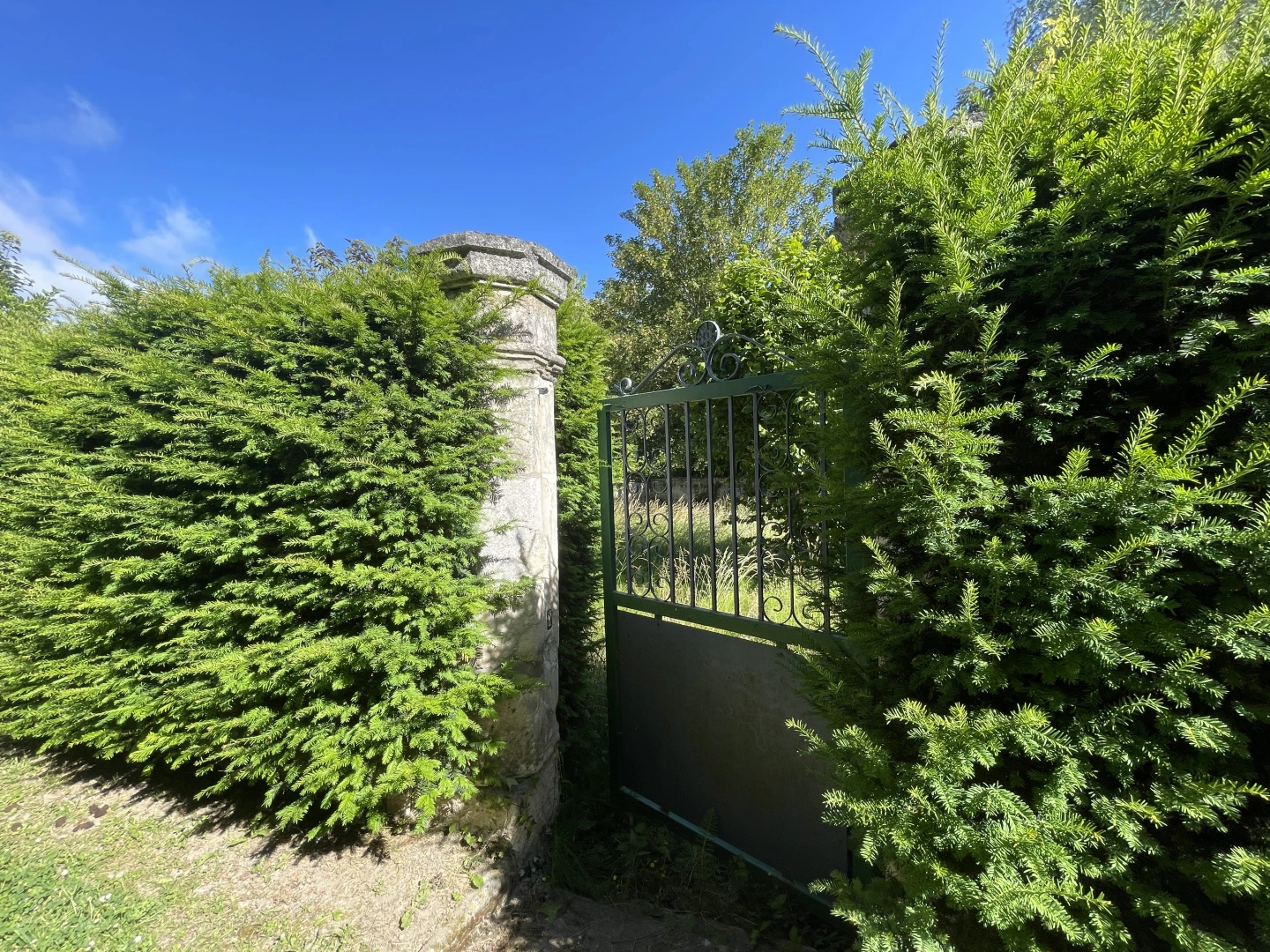 property